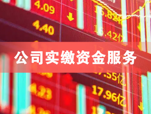 普洱公司实缴资金服务