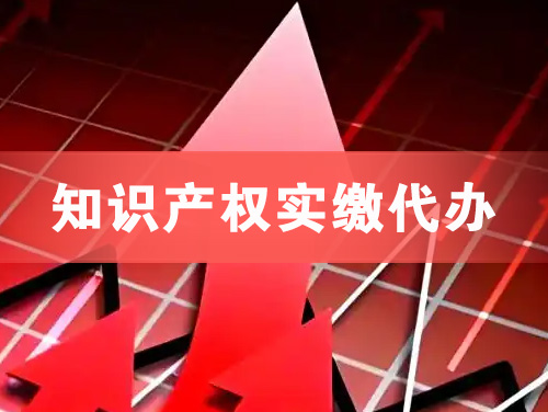 普洱知识产权实缴资本代办